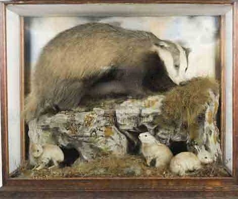 BADGER WITH THREE RABBITS BY HENRY MURRAY IN STORAGE AT THE DOCK MUSEUM BARROW