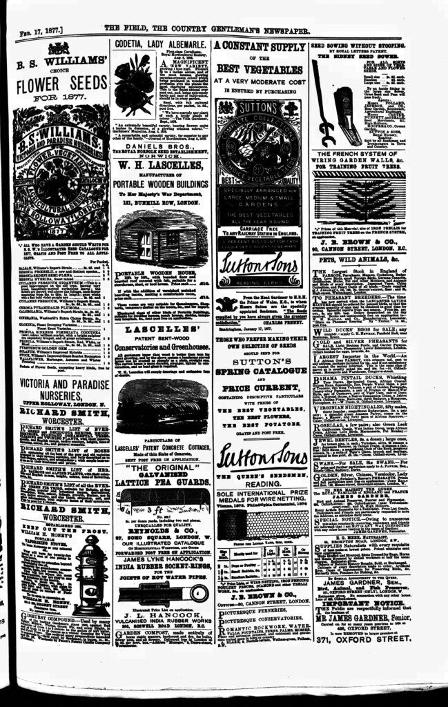 1877 advert in the Field. We see the row going on with the executors of James Gardner Senior and his son James Gardner