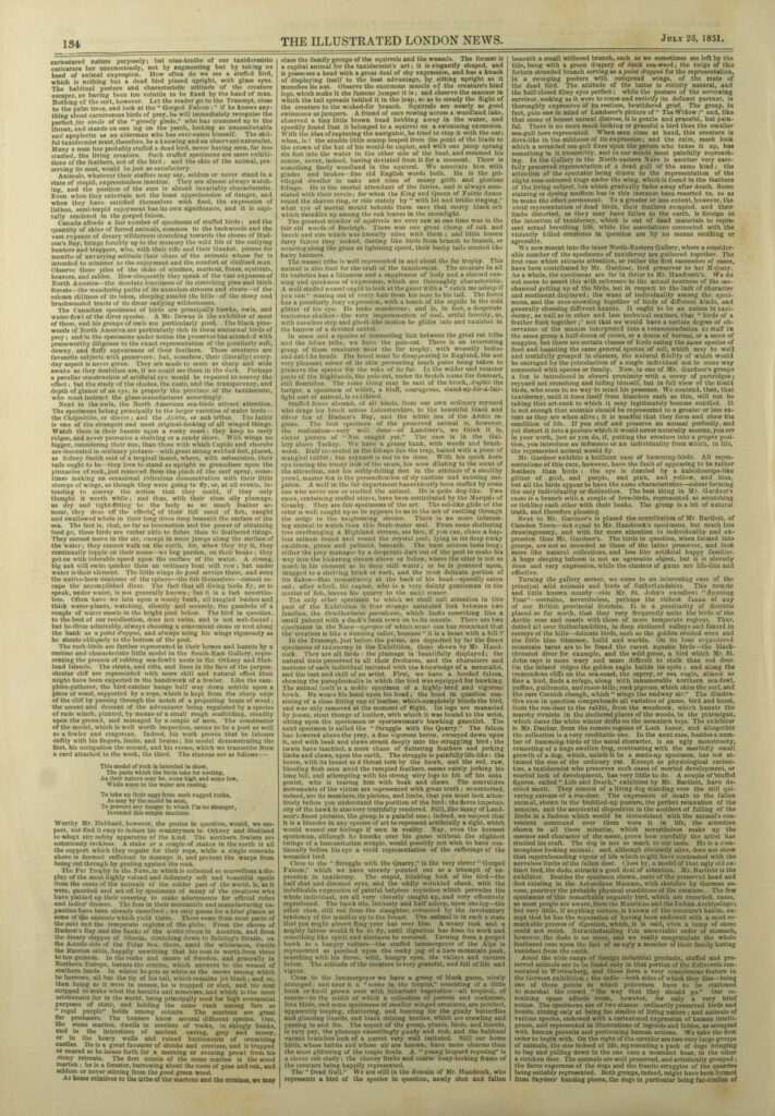 First Page (30) taxidermy review The_illustrated_London_news_26_July_1851_0030