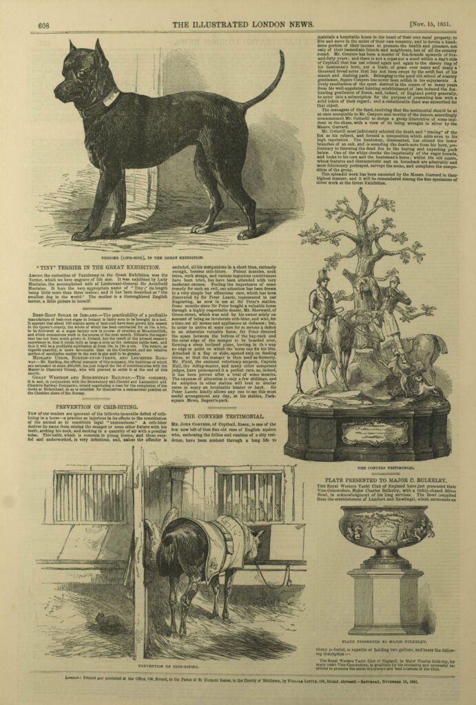 The Tiny Terrier on page 16 in The_illustrated_London_news_15_November_1851