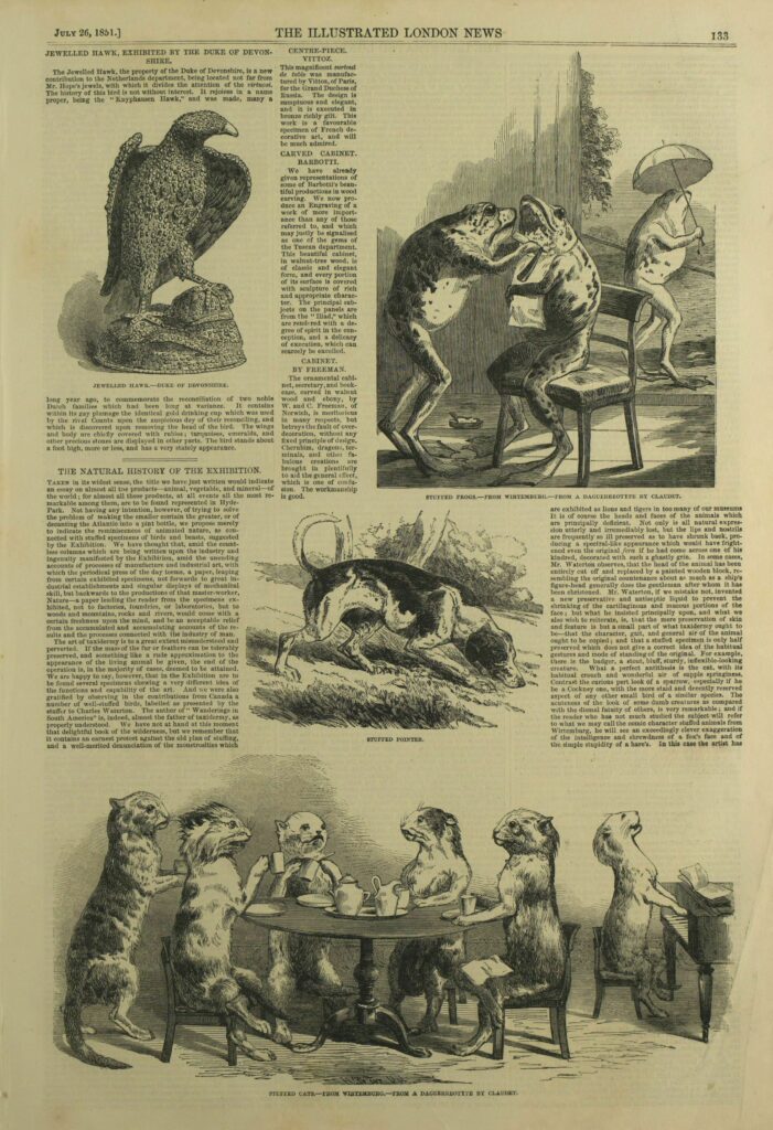 Middle page 29 taxidermy review The_illustrated_London_news_26_July_1851_0029