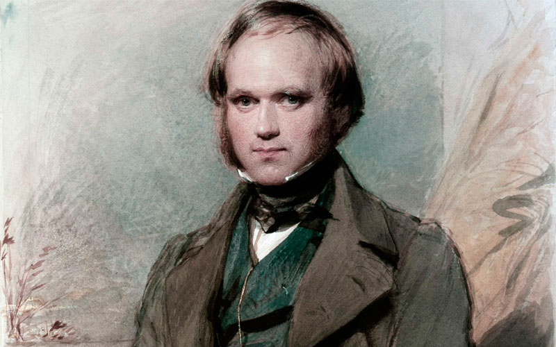 Charles Darwin portrait