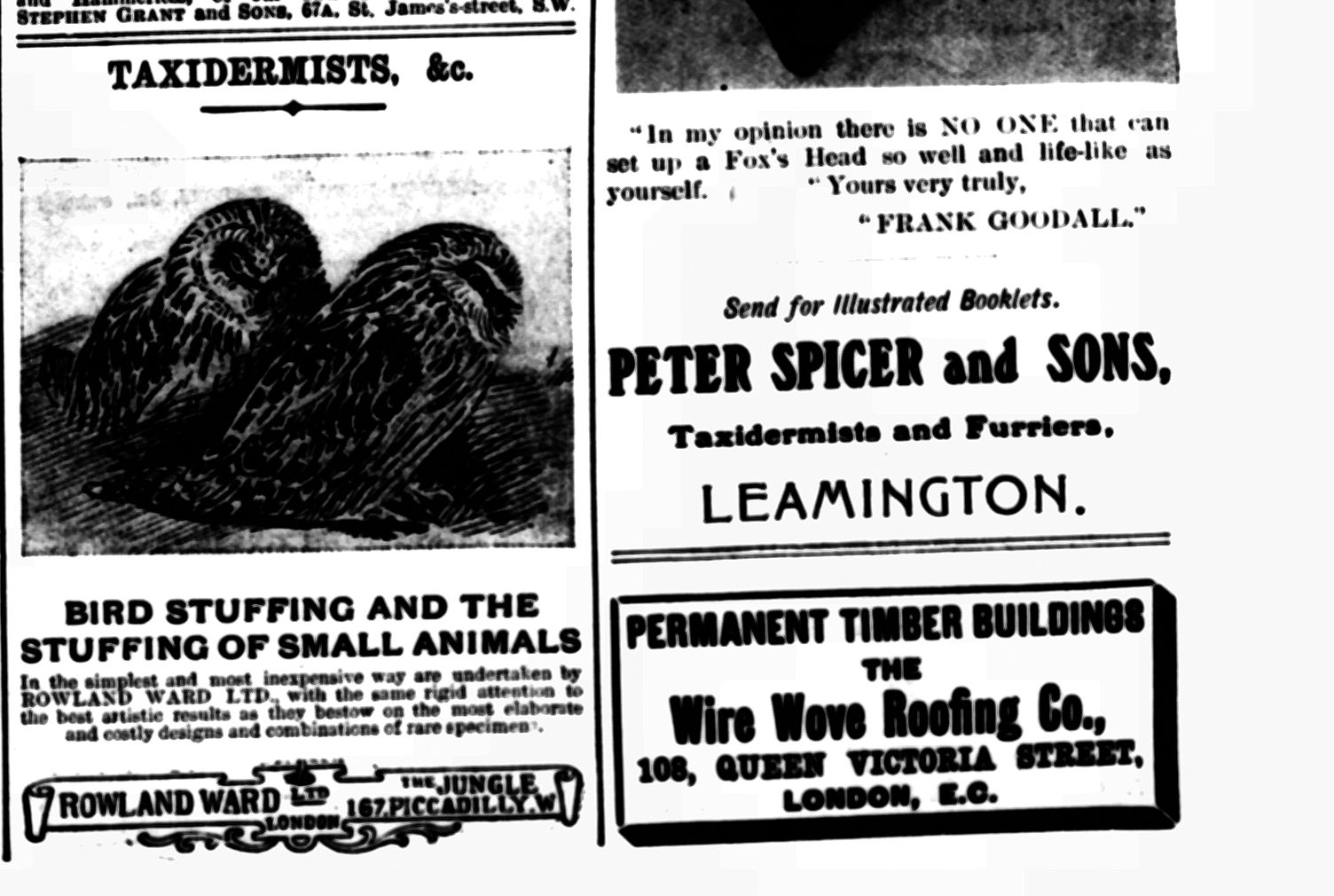 Peter Spicer advert 1907